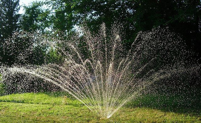 3 tips para mantener tu jardín perfecto