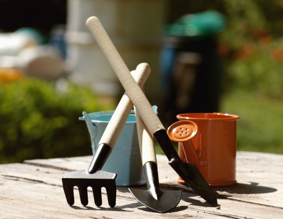 Herramientas eléctricas y manuales para mantener tu jardín perfecto este verano 